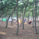 덕천해수욕장 티스토리