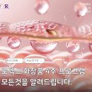 로덱스앤리버스화장품 | 피부관리 4주의 기적?로덱스 화장품 4W 프로그램