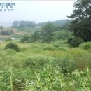 군남면-1 이미지