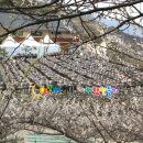 섬진농원 이미지