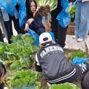 양천초등학교 이미지