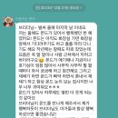 브리티쉬숏헤어 캐터리 이미지