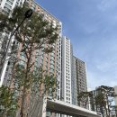 비치아트크린 | 대구남산자이하늘채 천연대리석연마 아트월폴리싱광택작업 후기 -대구입주청소호야크린