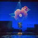 4.3 창작뮤지컬 동백꽃 피는 날 이미지