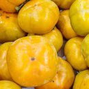 해용농장 이미지