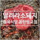달려라 소돼지 정육식당