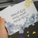 한바다코퍼레이션