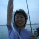 물반고기반 이미지