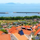 주정차67 이미지