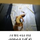이상한파충류