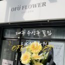 [대구수성구]감각있는 만촌동꽃집 오브유플라워 꽃다발선물 원데이클래스추천