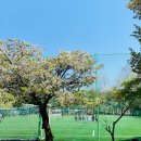 마루공원 축구장_2 이미지