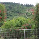 나루농장 이미지