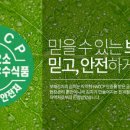 보배김치
