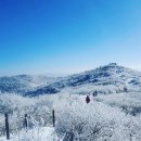 2020년1월18일 토요일 ♡ 태백산 눈꽃축제 ♡ 산행안내 이미지