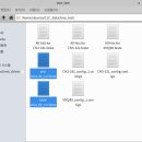 [Bioinfo] 생물정보 분석 솔루션 incoRENTAL | CLC로 phylogenetic tree 생성 (MEGA7과 비교)