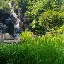 장충파출소 이미지