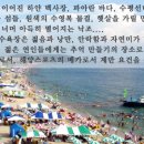 [여행공지]5/6일저녁출발~5월7일,대천해수욕장...최종공지 이미지