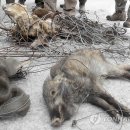 포천시화현보건지소 이미지