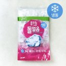 여름 간식 추천 로켓프레시로 주문한 풀무원 돌얼음 조안나 아이스크림 엑설런트 후기