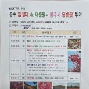 청솔밴드여행사
