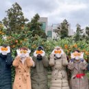 하영농장 이미지