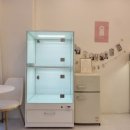 민들레장 이미지