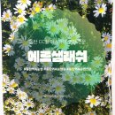 카페모두다샘 | 역 속눈썹] 에르샘래쉬에서 화려한 CC컬 마스카라 연장 받고 온 솔직 후기! (오픈 이벤트 중✨)(주차 정보)