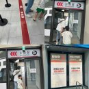 시민유치원 | 파주:: 임진각 평화 곤돌라 크리스탈캐빈 탑승후기, 파주시민 할인