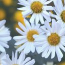 만수5동-2 이미지