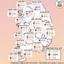 11주차 백수일기