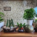 오리와생태의만남 이미지