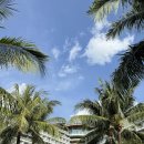 베스트크리닝 | [푸꾸옥] 베스트 웨스턴 프리미어 소나시