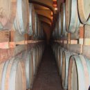 👌꼬르테 알라 플로라 비노 노빌레 디 몬테풀치아노 2019(Corte Alla Flora Vino Nobile di...