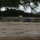 안미초등학교 이미지