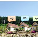 아리숲펜션 이미지