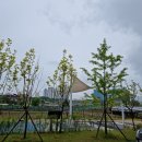 고덕대박공인중개사사무소 이미지