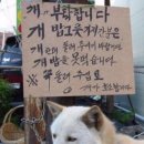 인생돈가스 이미지
