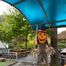 금방아 민박 캠핑장 | 46th Camping :: 영월 금방아 민박 캠프 캠핑장 with 시댁식구들 (feat. 할로윈캠핑 시즌 )