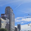 풍성한빌딩 이미지