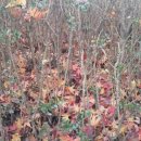 서정주한의원 이미지