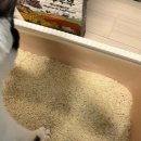 두부두부 이미지