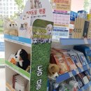 가나약국 이미지