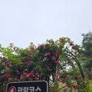 남해 원예예술촌 ㅣ 남해가볼만한곳 ㅣ 남해여행 ㅣ