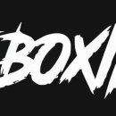 WS복싱클럽 이미지