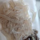 울릉회센타