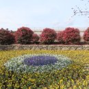 삼달교차로 3 이미지