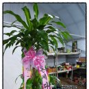 345당구장 이미지