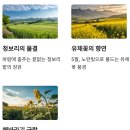 구릉지관광농원 이미지