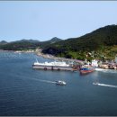 세구지5 이미지